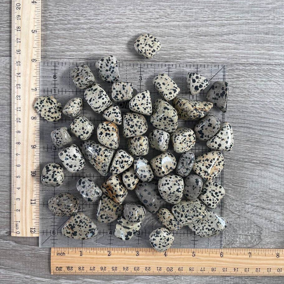 Dalmatian Jasper Tumbled Stones – 1 lb Wholesale Lot