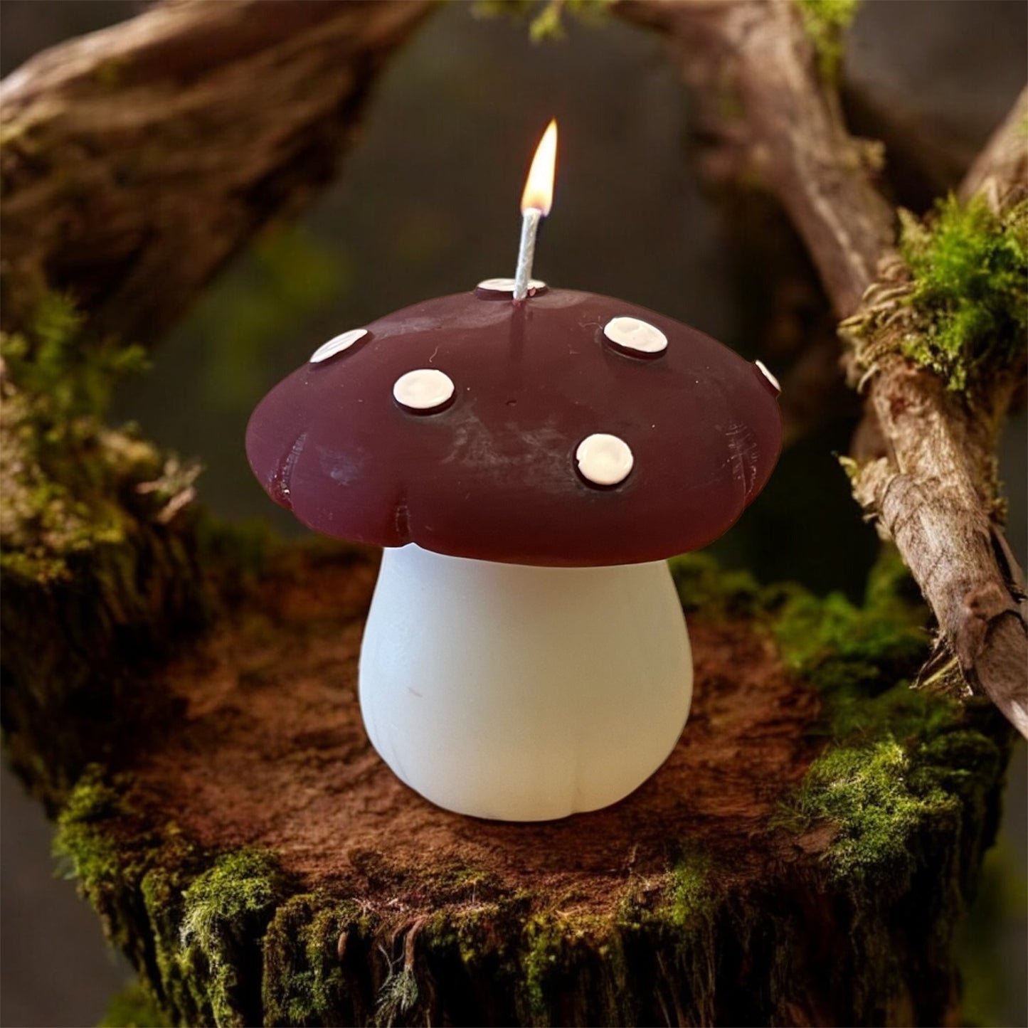 Beeswax Mushroom