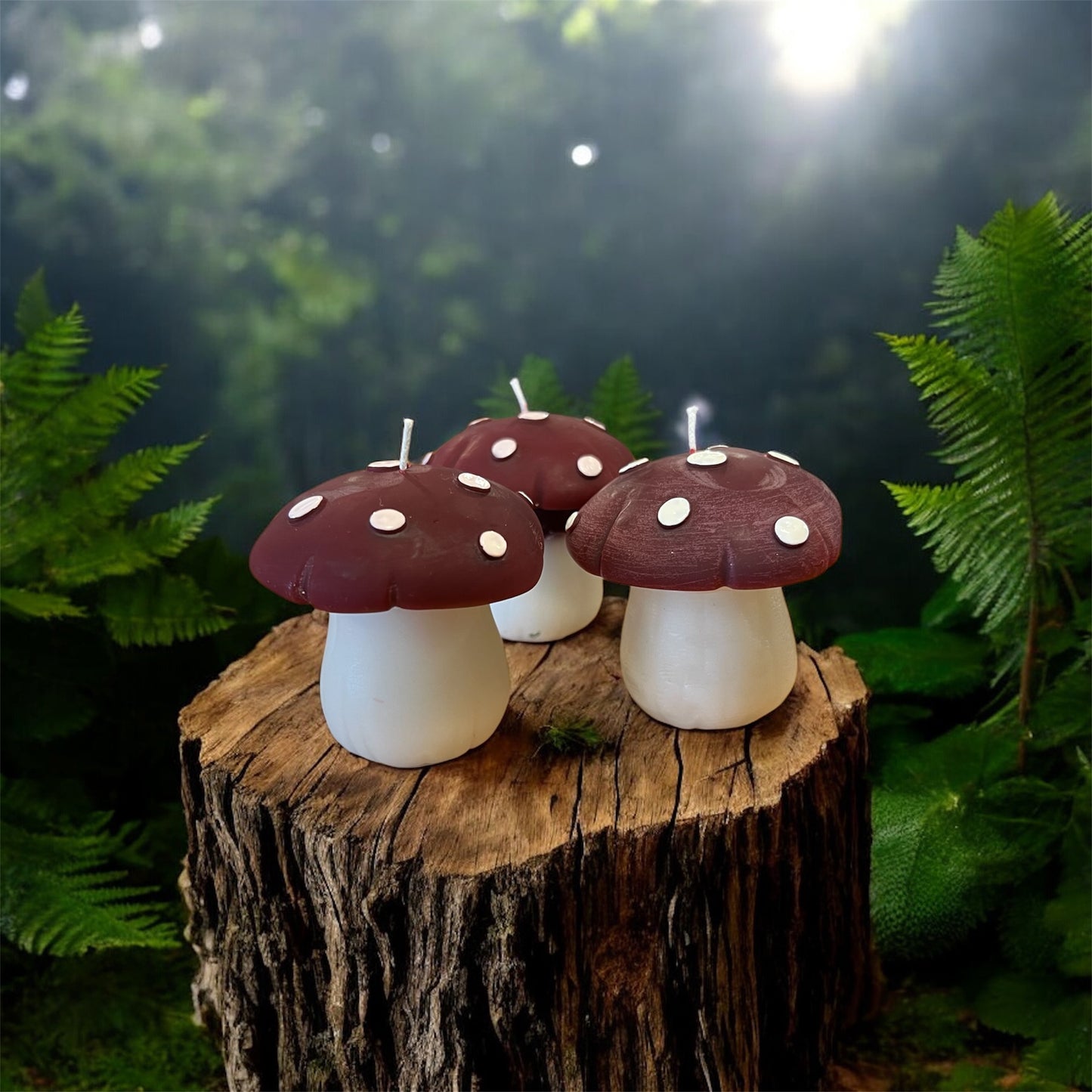 Beeswax Mushroom