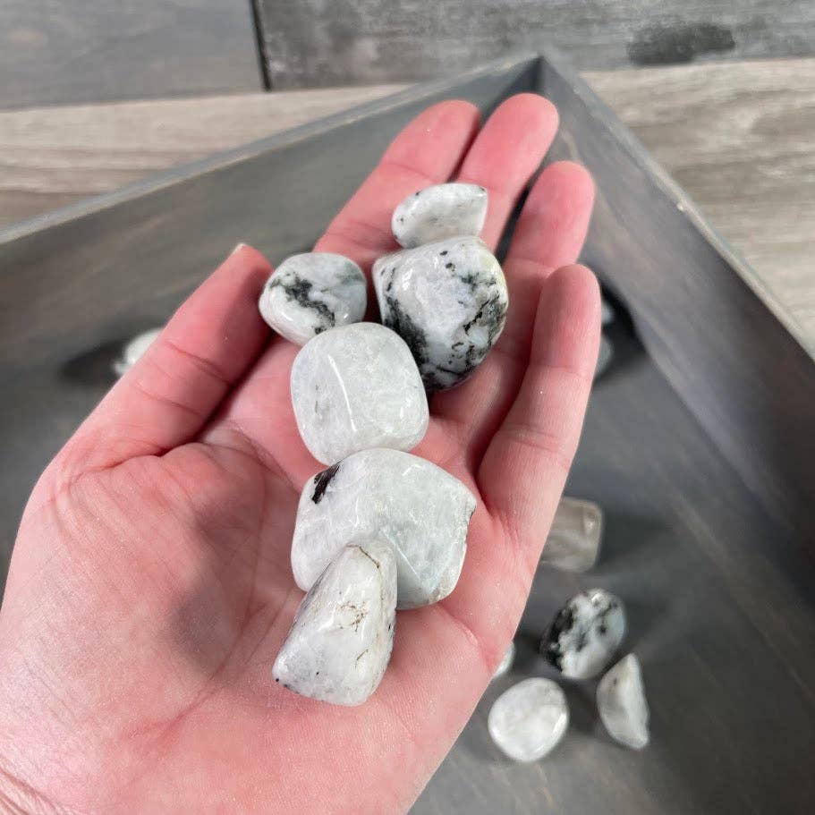 Rainbow Moonstone Tumbled Stones – 1 lb Bulk Lot for Crystal Shops