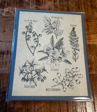 Load image into Gallery viewer, Prints by J. Savage
