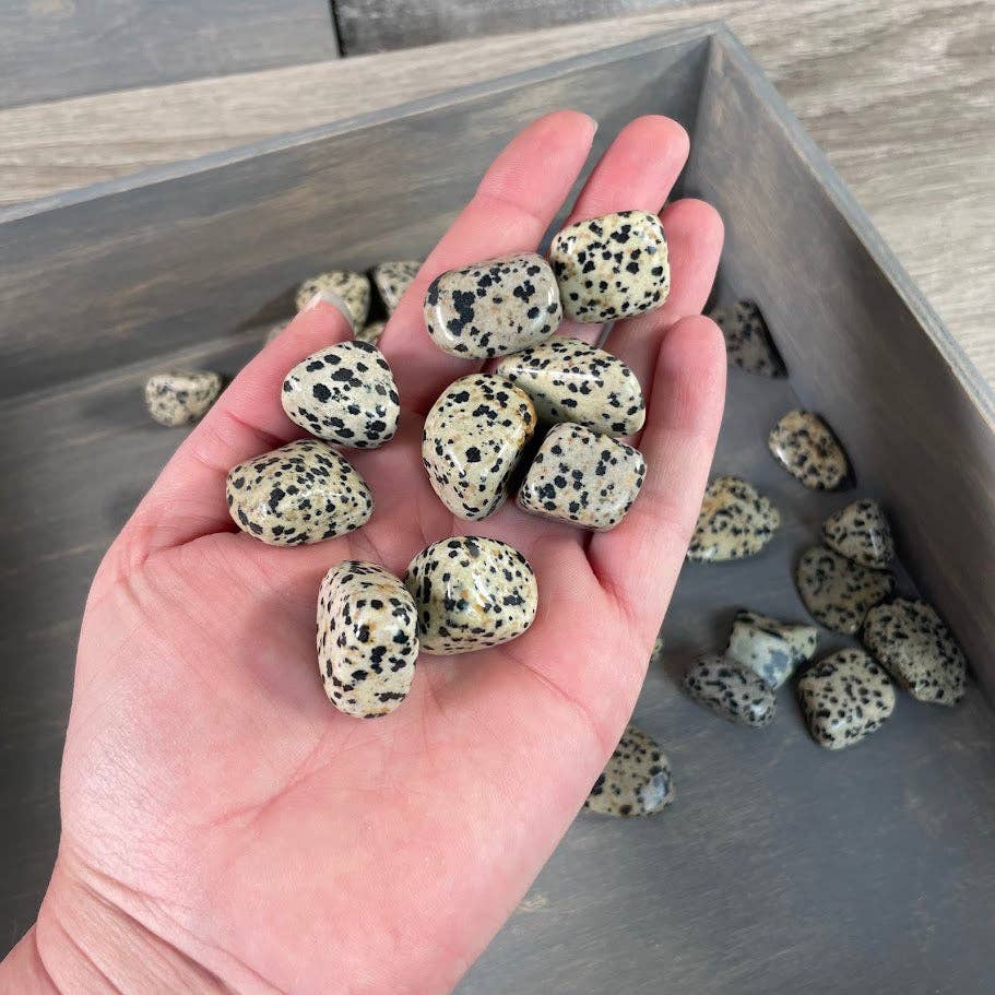 Dalmatian Jasper Tumbled Stones – 1 lb Wholesale Lot