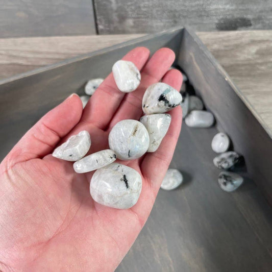 Rainbow Moonstone Tumbled Stones – 1 lb Bulk Lot for Crystal Shops