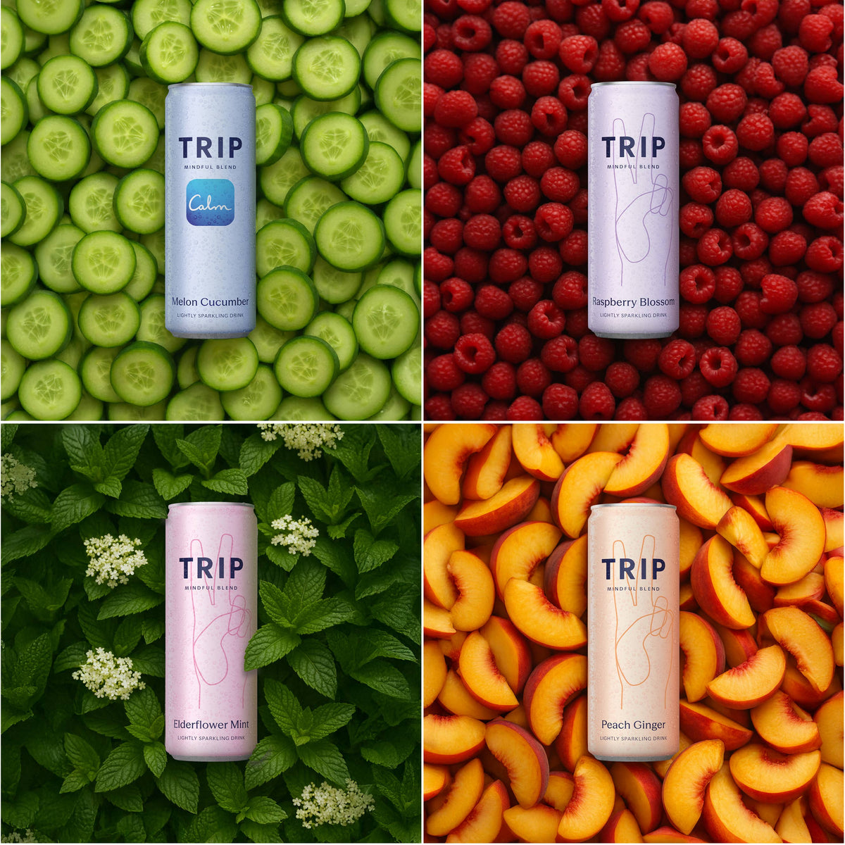 Mindful Blend Variety 4 pack (6 x 4packs)