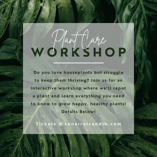 Plant Care Workshop