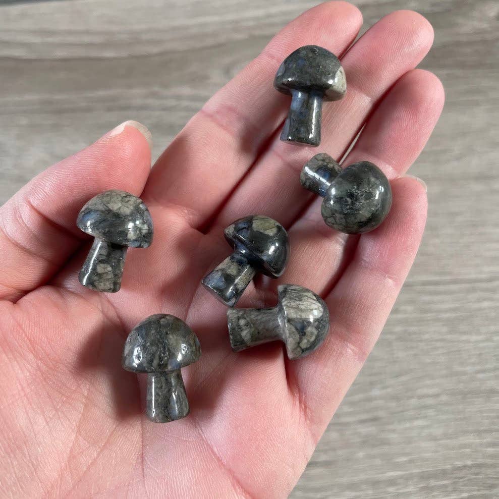 Small Gemstone Mushrooms for Crystal and Gift Shops
