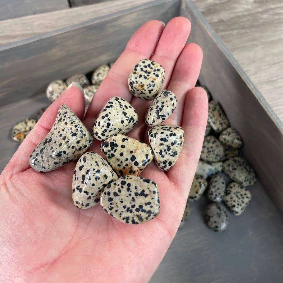 Dalmatian Jasper Tumbled Stones – 1 lb Wholesale Lot